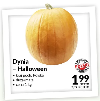 Dynia Halloween promocja w Makro