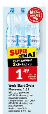 Woda gazowana Skarb Życia Muszyna promocja w Twój Market