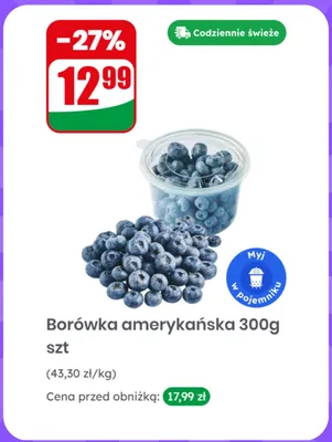 Borówka amerykańska promocja w Dino