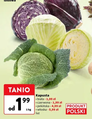 Kapusta włoska promocja w Intermarche