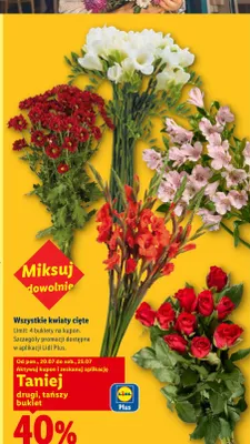 Kwiaty cięte promocja w Lidl