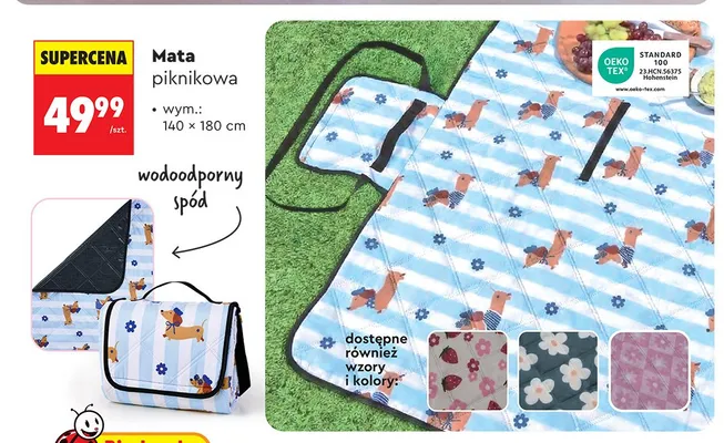 Mata piknikowa wodoodporna 140x180cm promocja w Biedronka