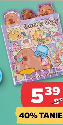 Rozkładany notesik promocja w Netto