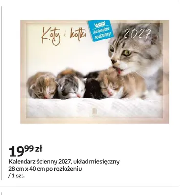 Kalendarz ścienny 2027 Koty i kotki Lucrum promocja w Empik