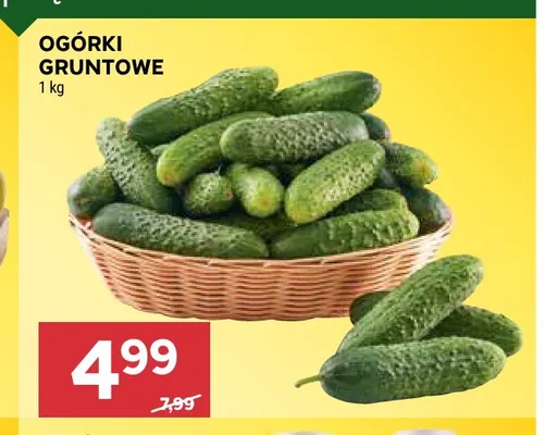 Ogórki gruntowe promocja w Stokrotka