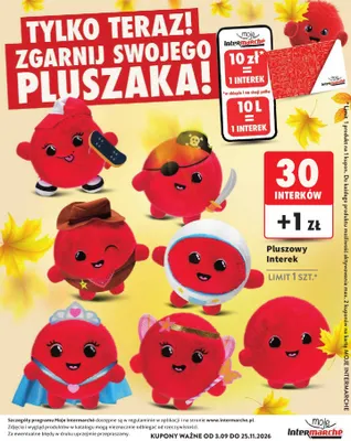 Pluszowy Interek promocja w Intermarche