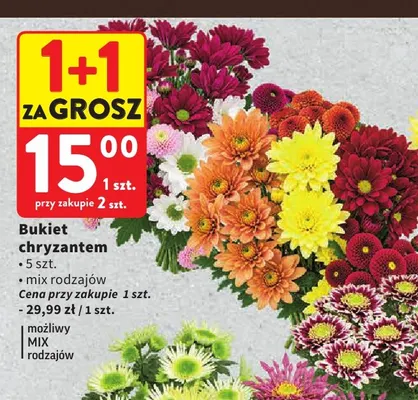 Bukiet chryzantem 5 szt. promocja w Intermarche