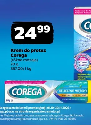 Krem do protez Corega promocja w Netto
