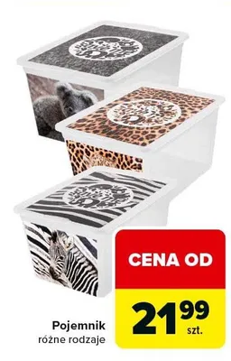 Pojemnik różne rodzaje promocja w Carrefour