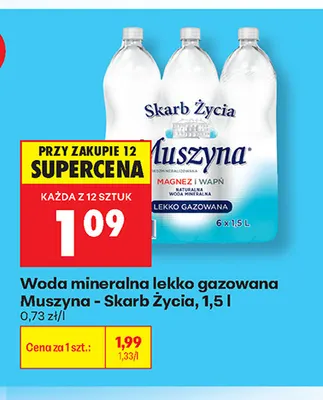 Woda mineralna lekko gazowana Muszyna Skarb Życia promocja w Biedronka