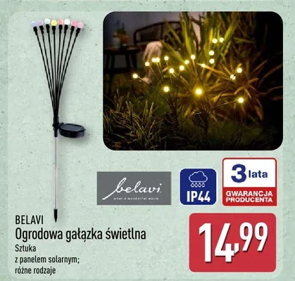 Ogrodowa gałązka świetlna promocja w Aldi