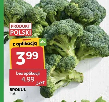 Brokuł polski promocja w Stokrotka
