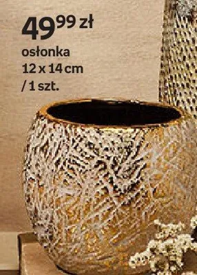 Osłonka 12 x 14 cm promocja w Empik