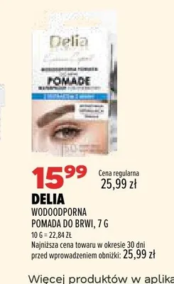 Wodoodporna pomada do brwi Delia promocja w Drogerie Natura