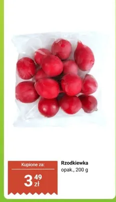 Rzodkiewka promocja w Dino