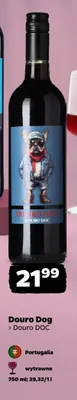 Wino czerwone wytrawne Douro Dog Douro DOC promocja w Netto