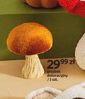 Grzybek dekoracyjny Hello Autumn promocja w Empik