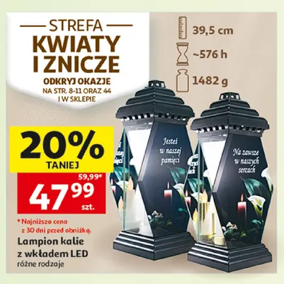 Lampion kalie z wkładem LED promocja w Auchan