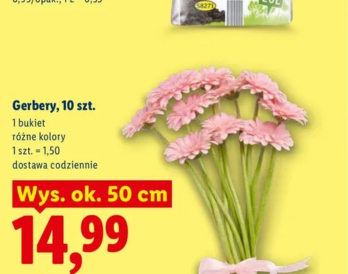 Gerbery bukiet promocja w Lidl