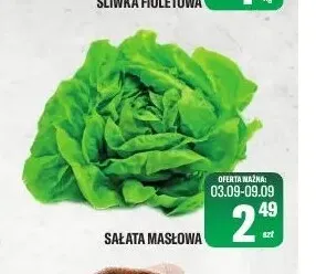 Sałata masłowa promocja w Tomi Markt