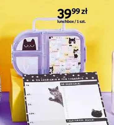 Lunchbox Paperdot Purrrfect School promocja w Empik