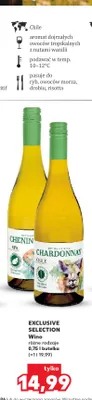 Wino Exclusive Selection promocja w Kaufland
