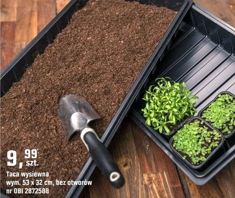 Taca wysiewna promocja w OBI