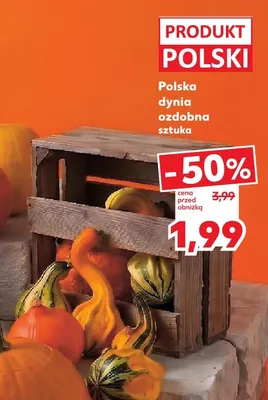 Dynia ozdobna polska promocja w Kaufland