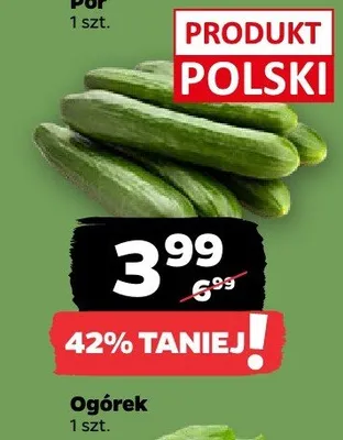 Ogórek promocja w Netto