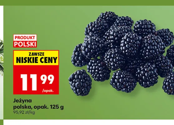 Jeżyny polskie promocja w Biedronka