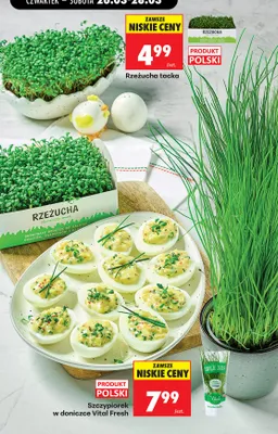 Rzeżucha tacka promocja w Biedronka