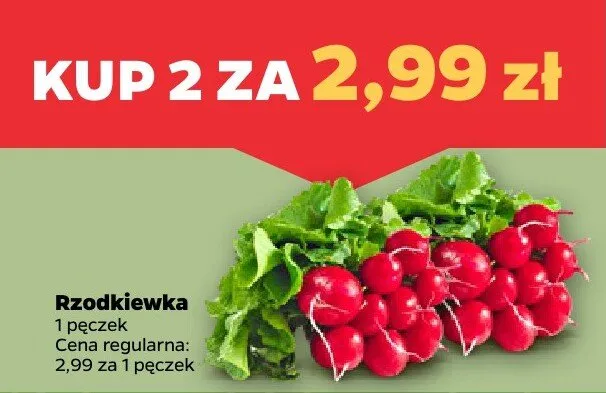 Rzodkiewka promocja w Netto
