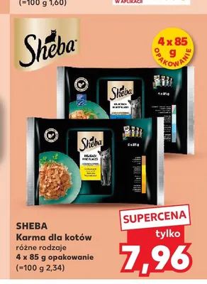 Mokra karma dla kotów Sheba Delicacy in Jelly 4-pak promocja w Kaufland