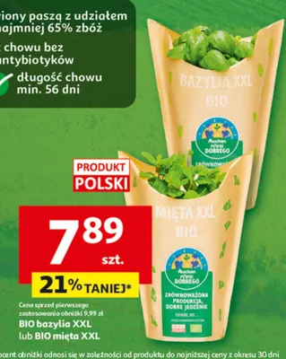 BIO bazylia XXL lub BIO mięta XXL promocja w Auchan