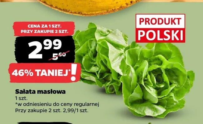 Sałata masłowa polska promocja w Netto