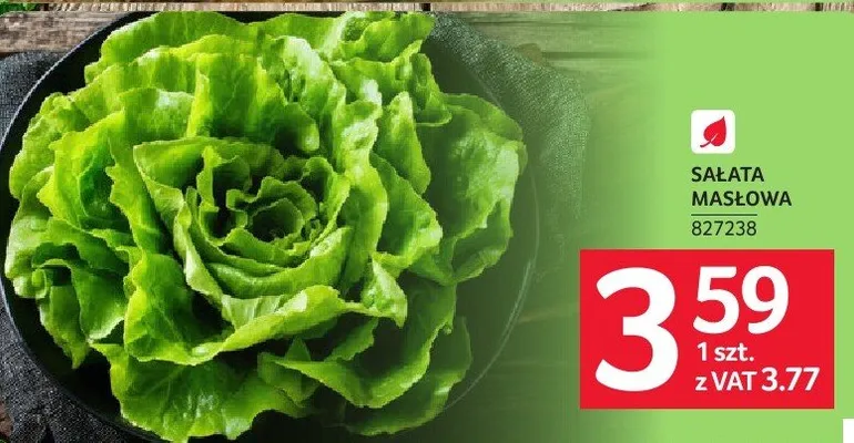 Sałata masłowa promocja w Selgros