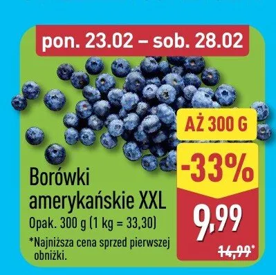 Borówki amerykańskie XXL Aldi promocja w Aldi