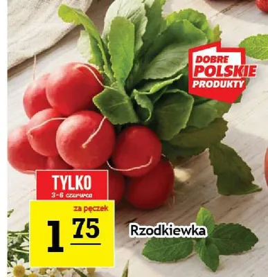 Rzodkiewka promocja w Gram Market