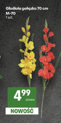 Gladiola gałązka 70 cm M-70 promocja w Delikatesy Centrum