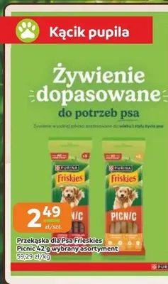 Przekąska dla psa Friskies Picnic promocja w Gama