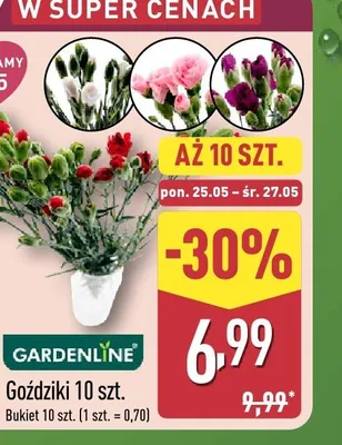 Goździki GARDENLINE 10-pak promocja w Aldi