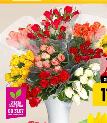 Róże promocja w POLOmarket