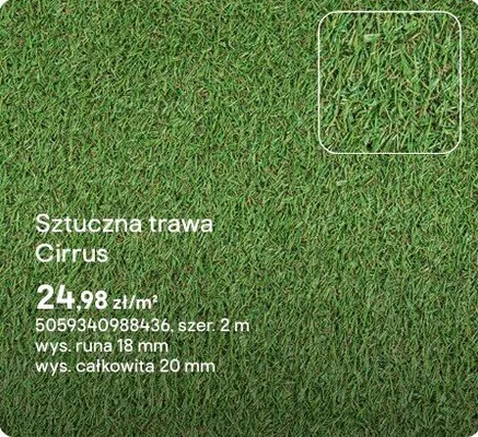 Sztuczna trawa Cirrus promocja w Castorama