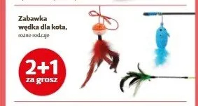 Zabawka wędka dla kota promocja w Super Zoo