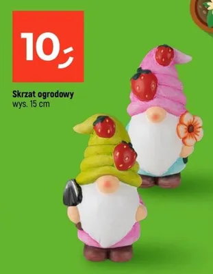 Skrzat ogrodowy promocja w Dealz