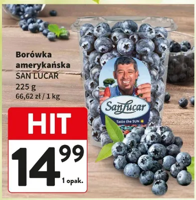 Borówka amerykańska promocja w Intermarche