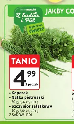 Natka pietruszki Z Sadów i Pól promocja w Intermarche