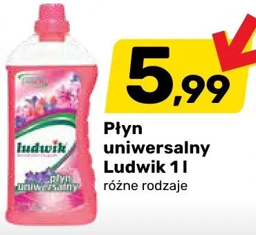 Płyn uniwersalny różne rodzaje promocja w Bricomarche