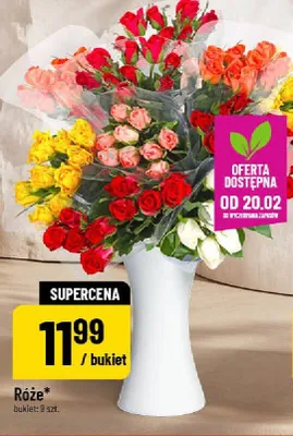 Róże promocja w POLOmarket