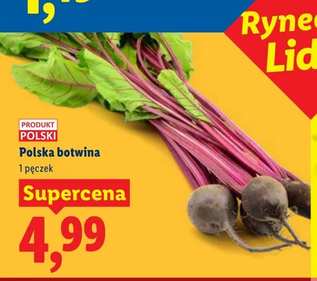 Botwina polska promocja w Lidl